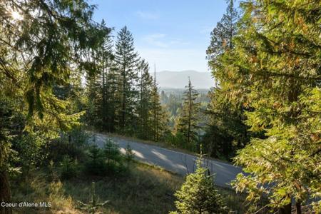 NNA C31&32 S Idaho Club Drive