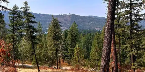 Image 3: Potential River Views