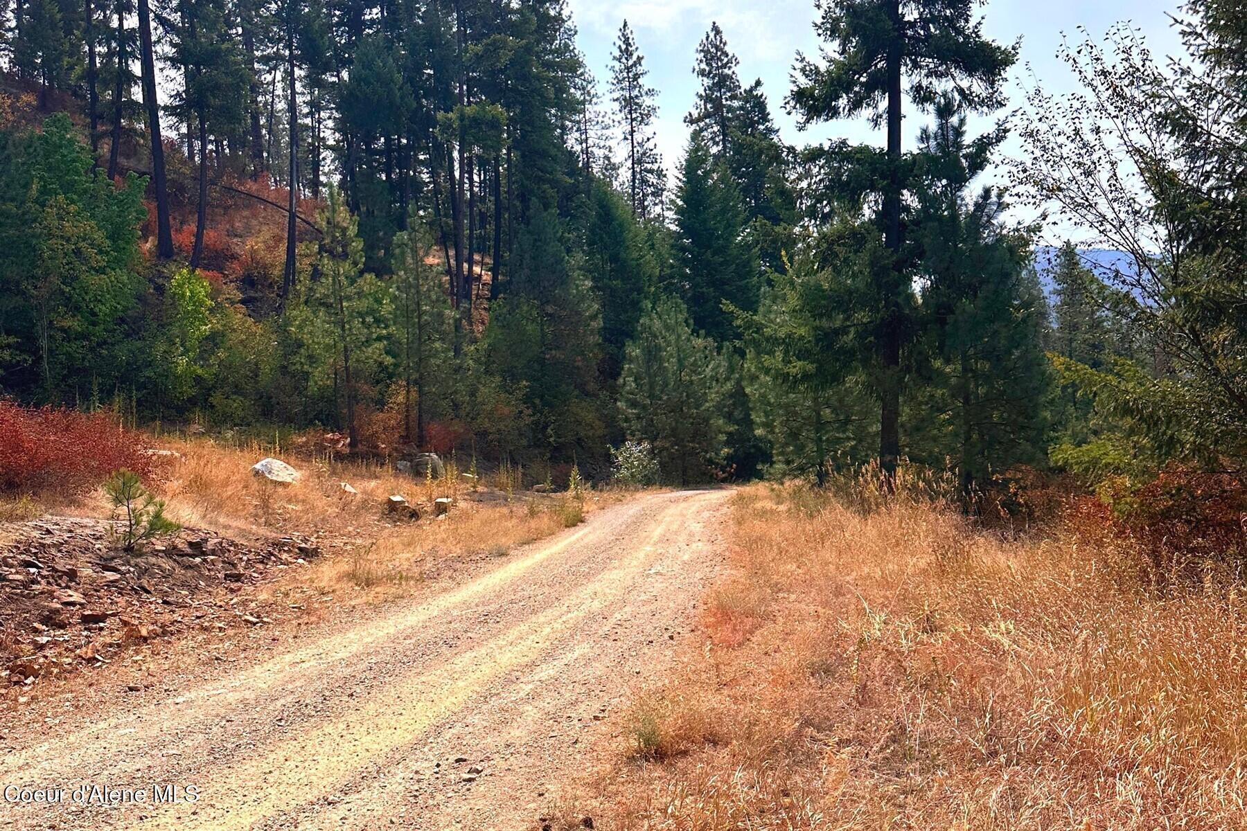 Image 4: Moose Mtn Rd
