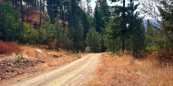 Image 4: Moose Mtn Rd