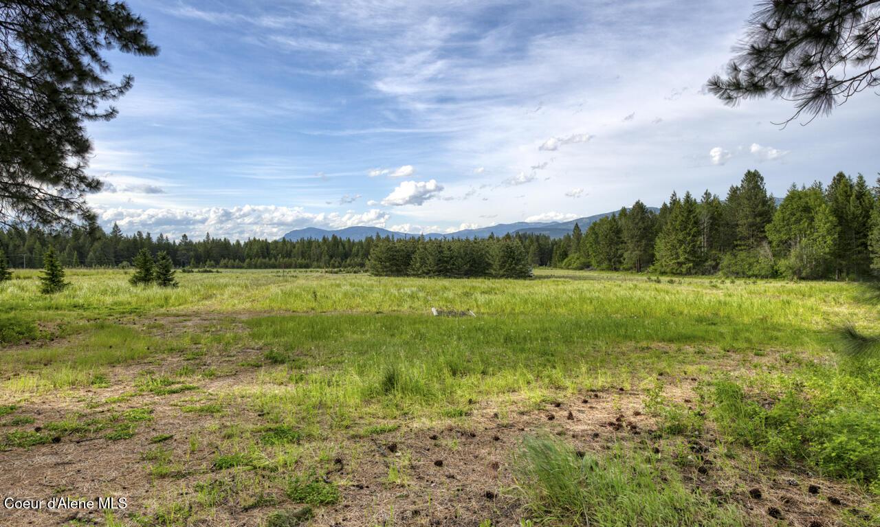 Image 3: Level, fertile land
