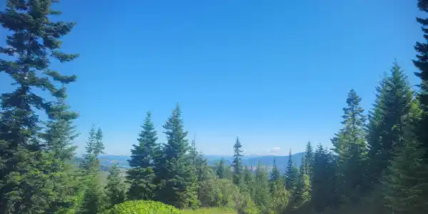 Image 2: View from the road