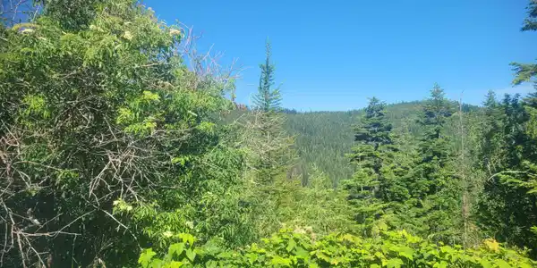 Image 4: Incredible View