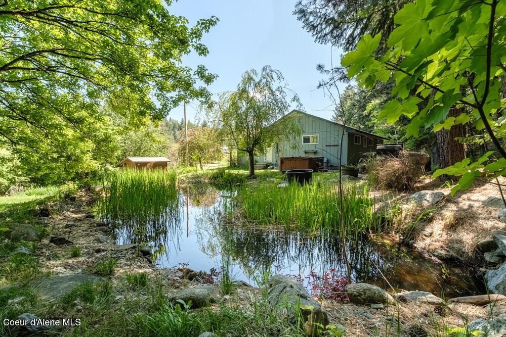 Image 2: Backyard Pond 1