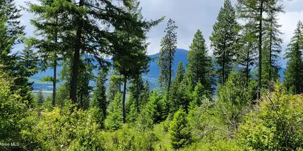 Image 2: 20240619_132343