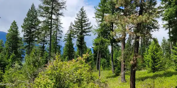 Image 3: 20240619_132349