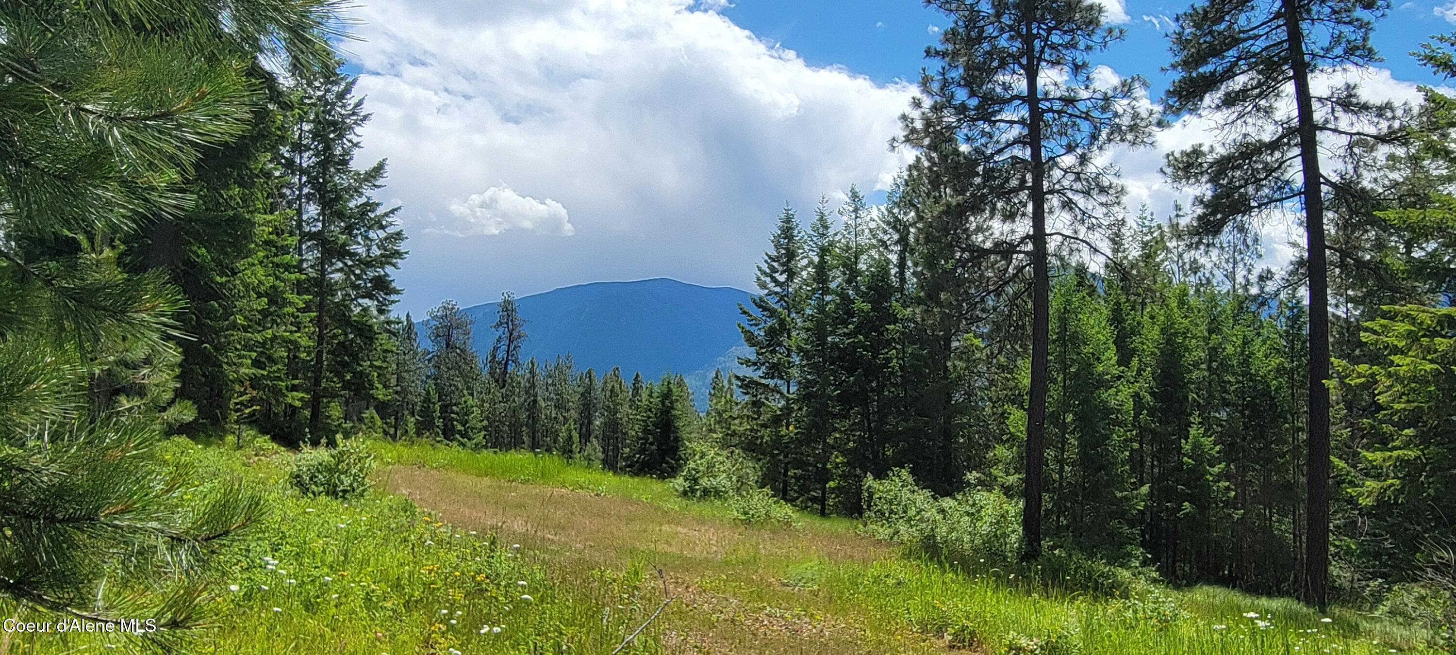 Image 4: 20240619_132405