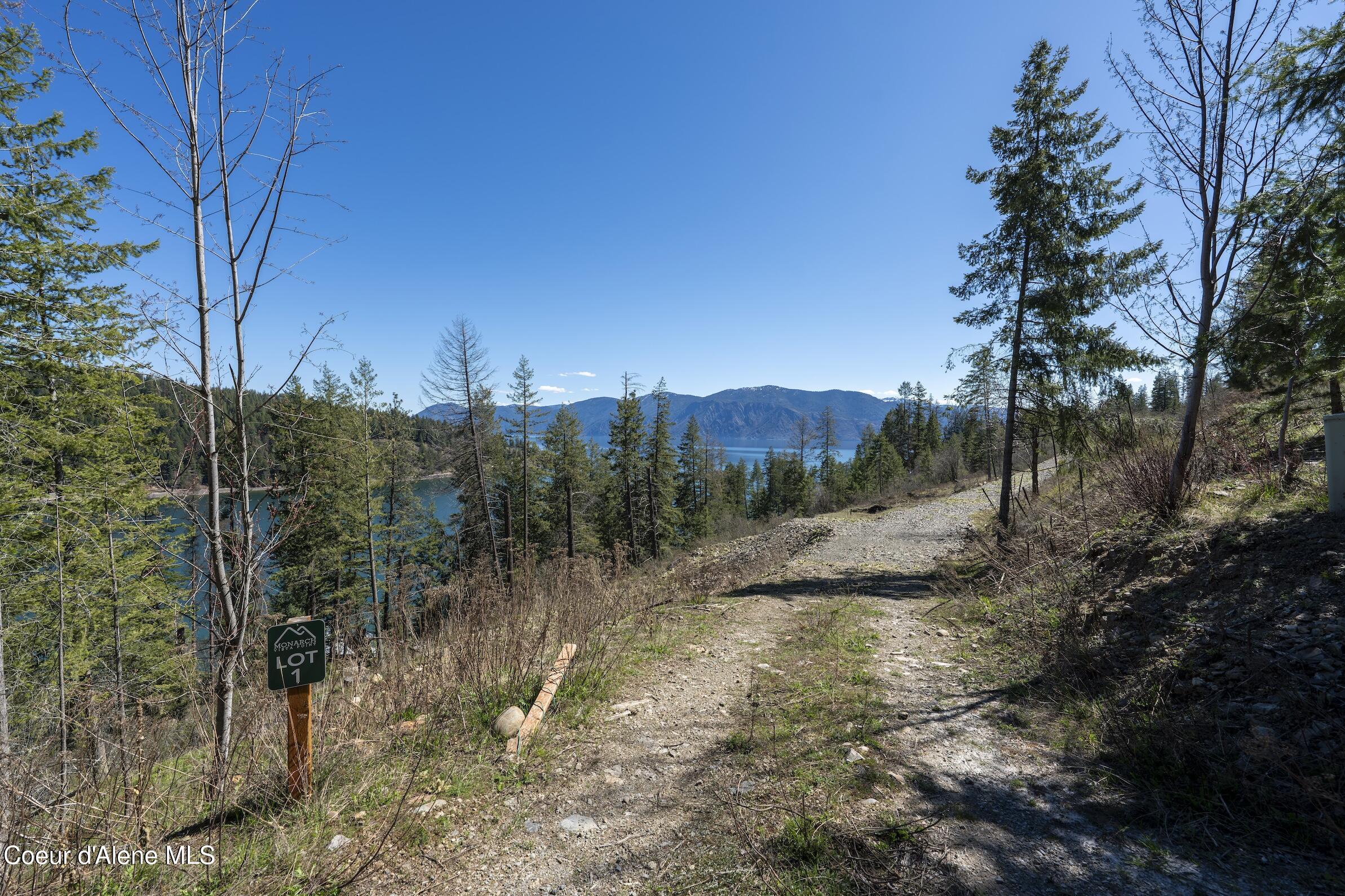 Image 4: DSC08817