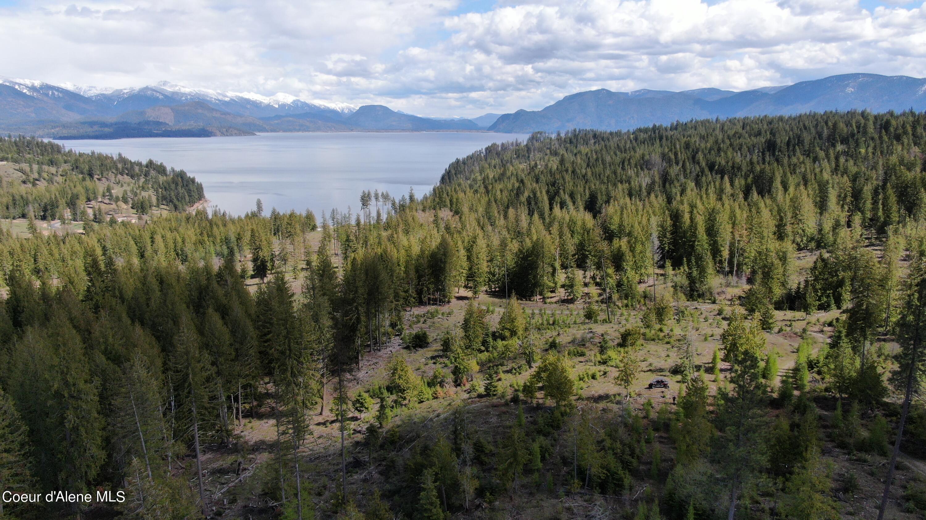 Image 1: Estate Lot 8