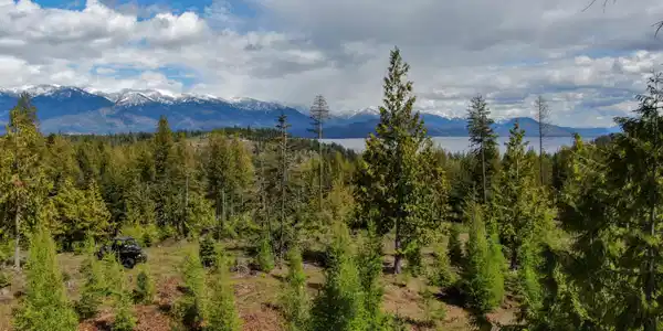 Image 4: DJI_0455