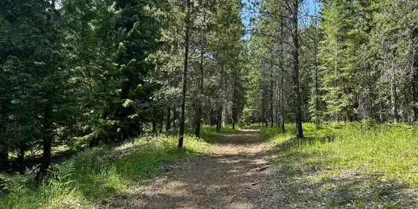 TBD Kreiger Creek Rd Lot 1
