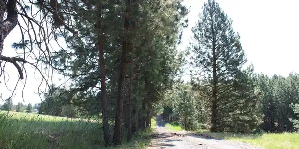 Image 2: Northwest Corner and Honor Road