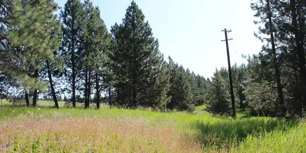 Image 3: Northwest Corner Power