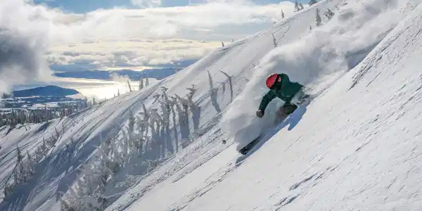 Image 3: Schweitzer Lifestyle