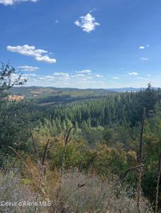 14.75 Acre Treetop LN Parcel 2