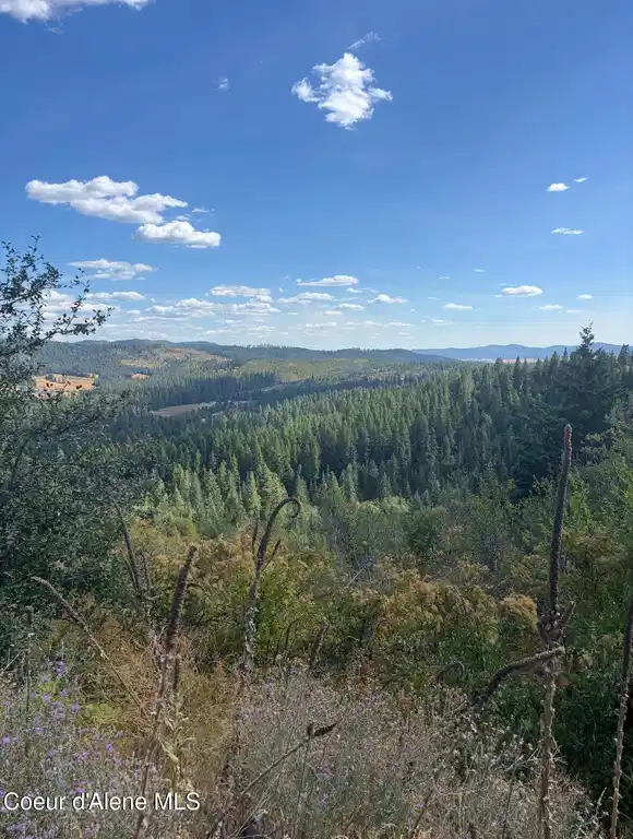 Image 1: 15 Private Untouched Acres