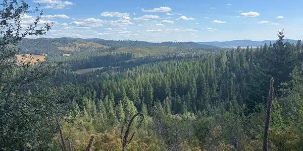 14.75 Acre Treetop LN Parcel 2