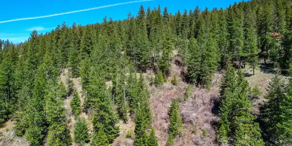 Image 2: 2-web-or-mls-aerial-drone-1