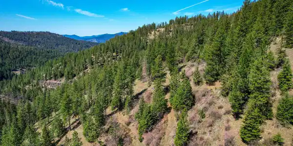 Image 3: 3-web-or-mls-aerial-drone-2
