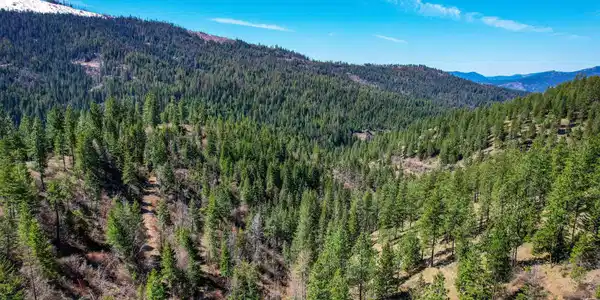 Image 4: 4-web-or-mls-aerial-drone-3