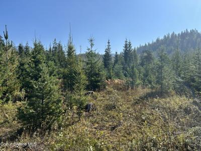 Tract 3 USFS 2294