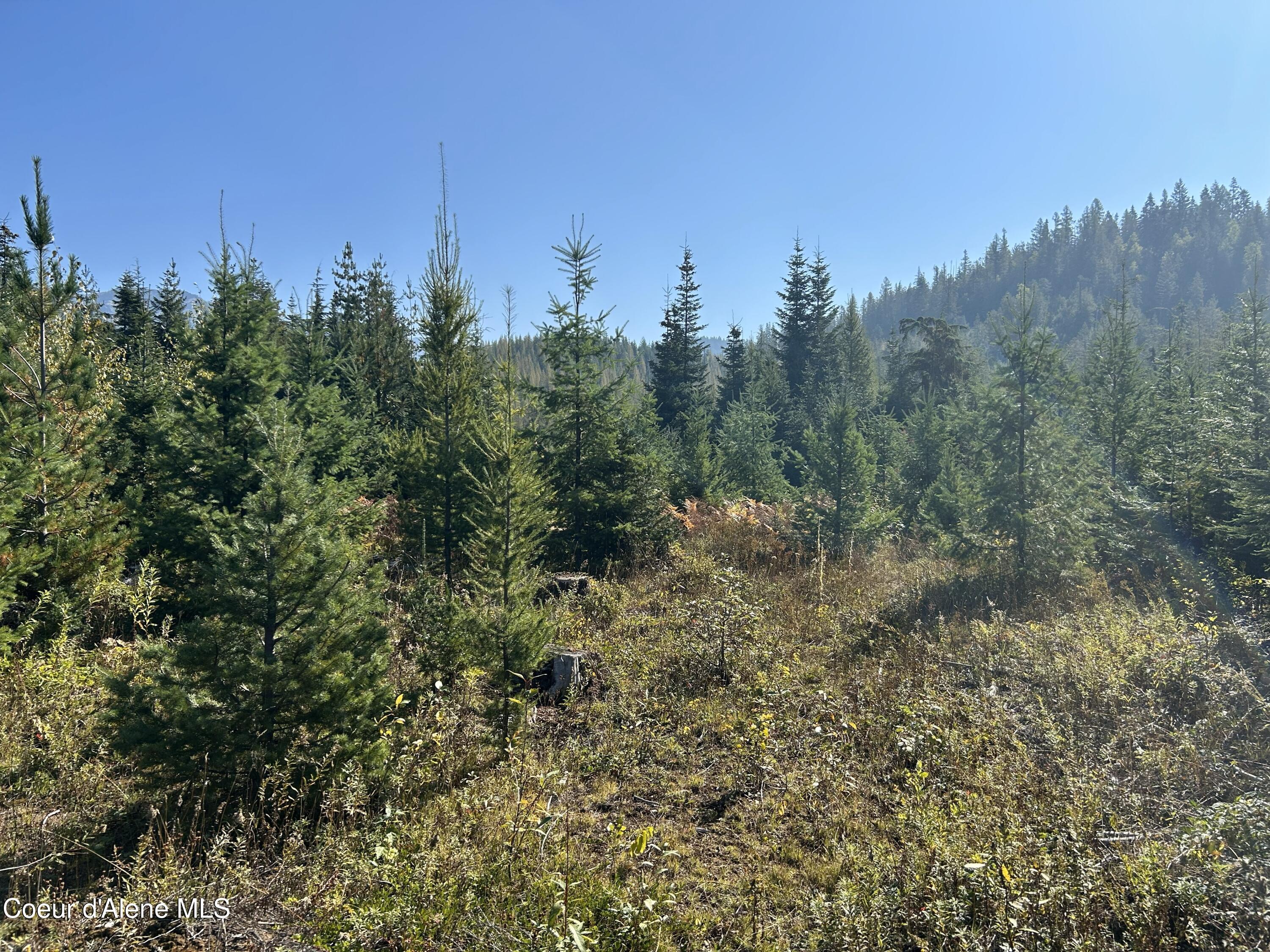Image 1: 1