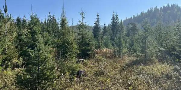 Tract 3 USFS 2294