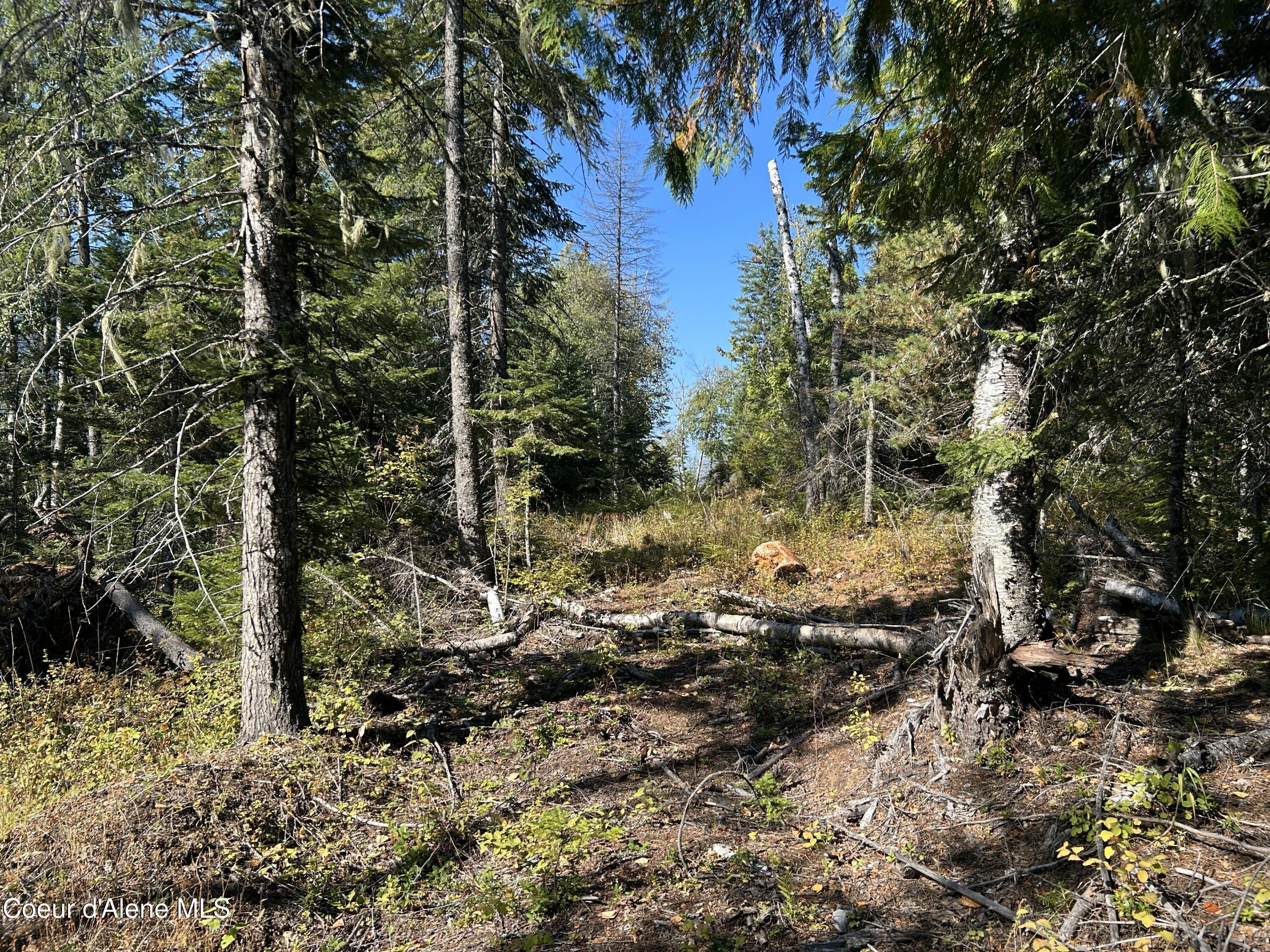 Image 2: IMG_0562