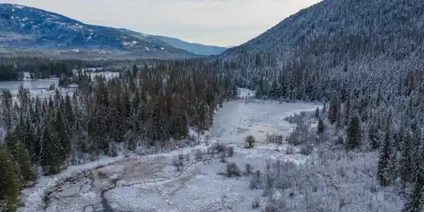 533739 U.S. 95 - 75 & 95 Acres