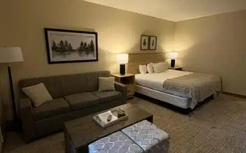 Image 2: sleeper sofa