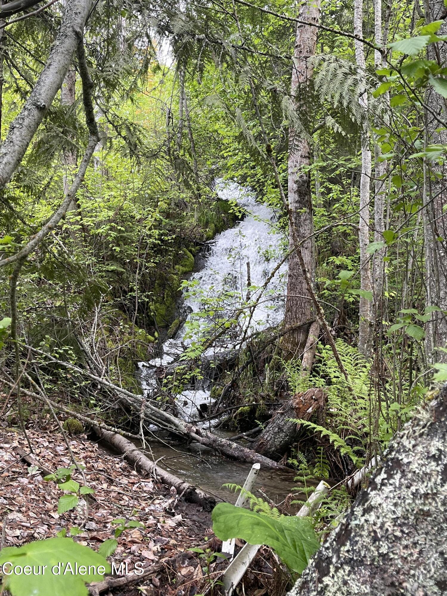 Image 3: Roaring Full Time Creek