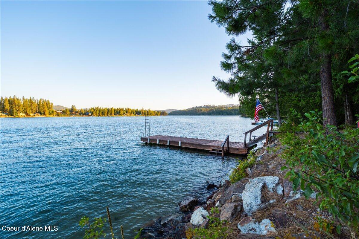 Image 2: Dock