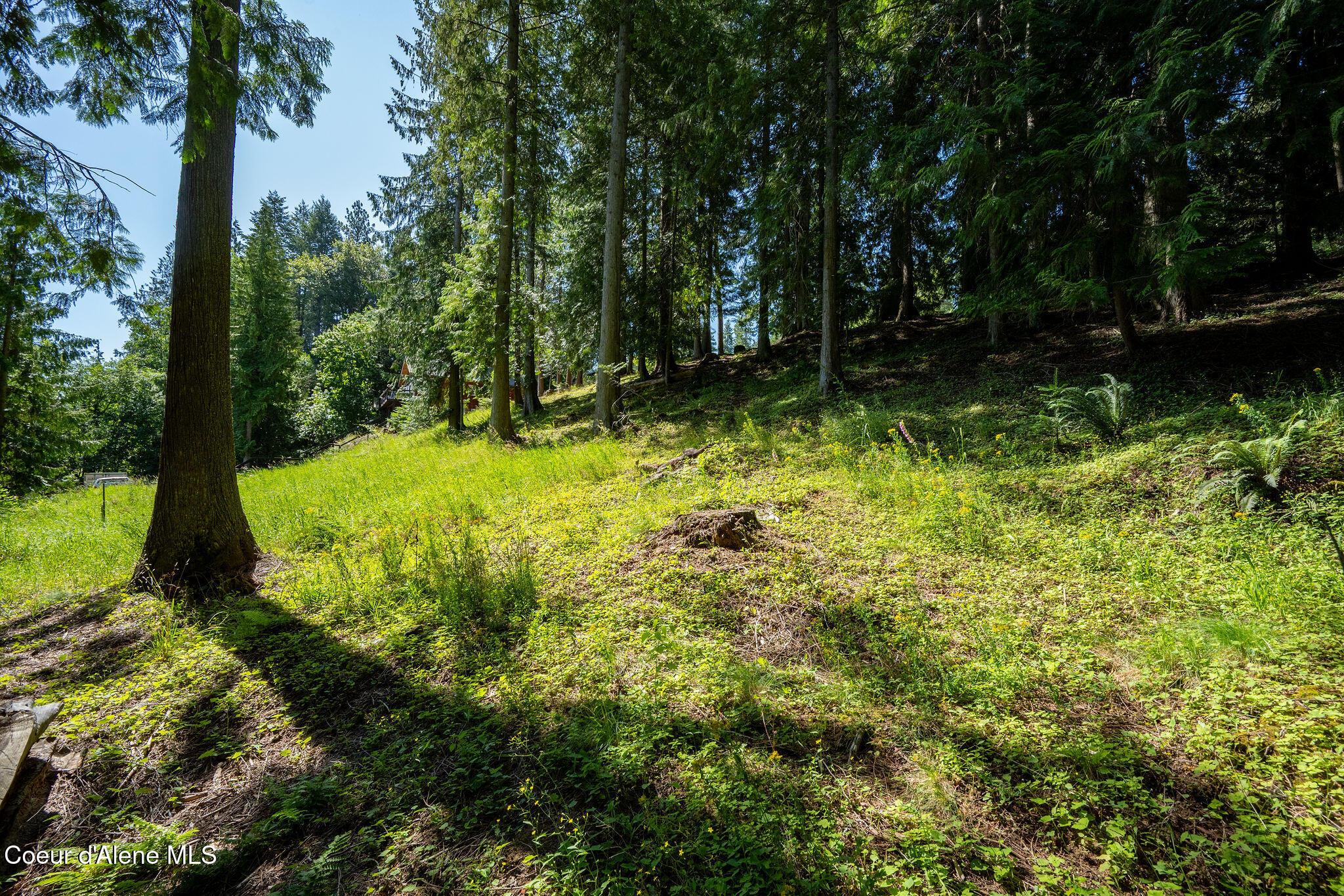 Image 1: Lot