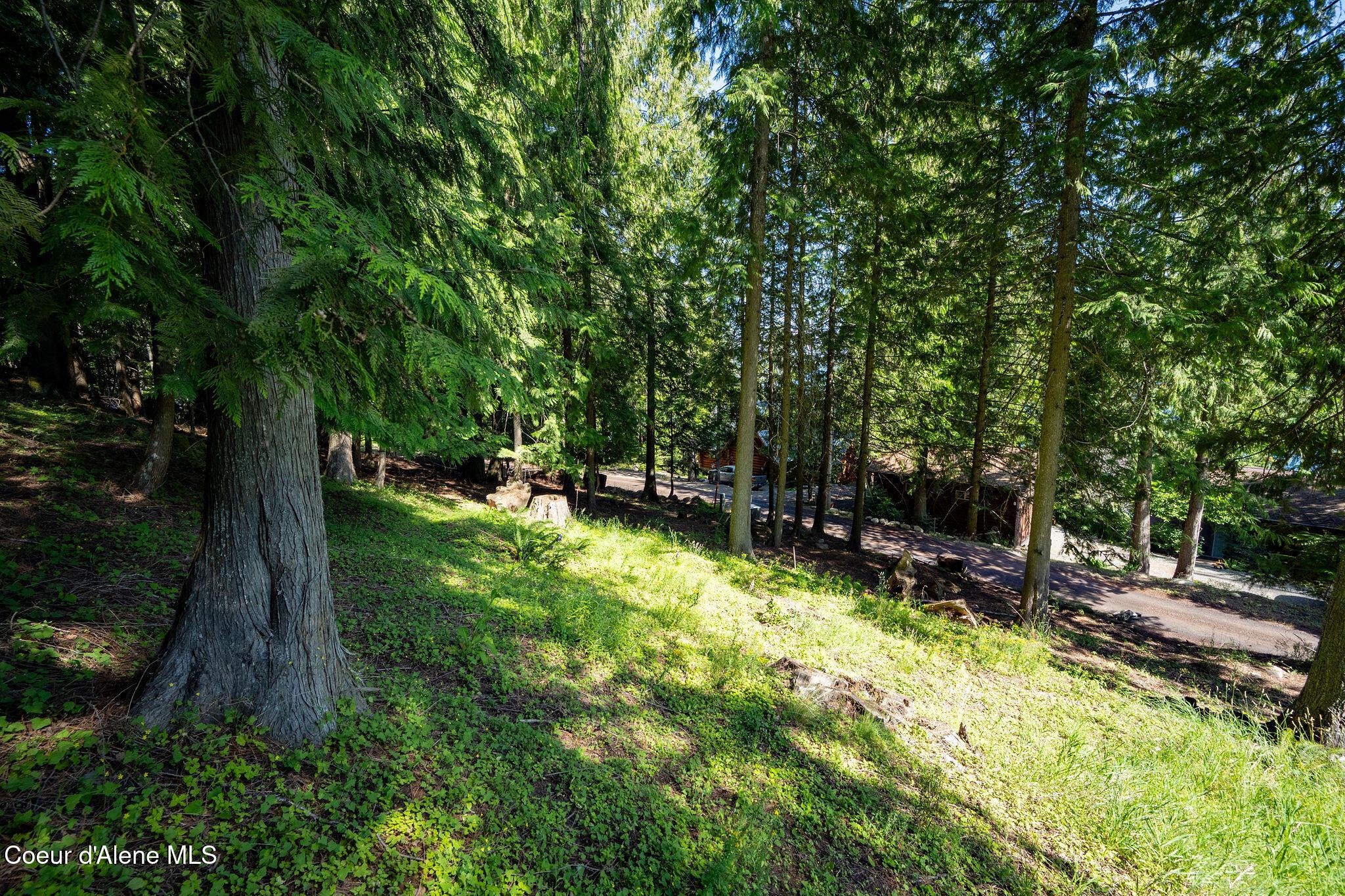 Image 2: Lot