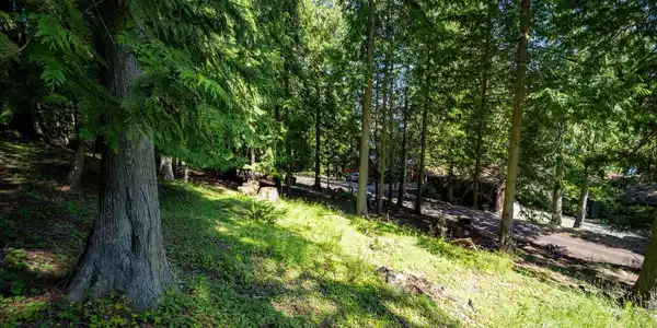 Image 2: Lot