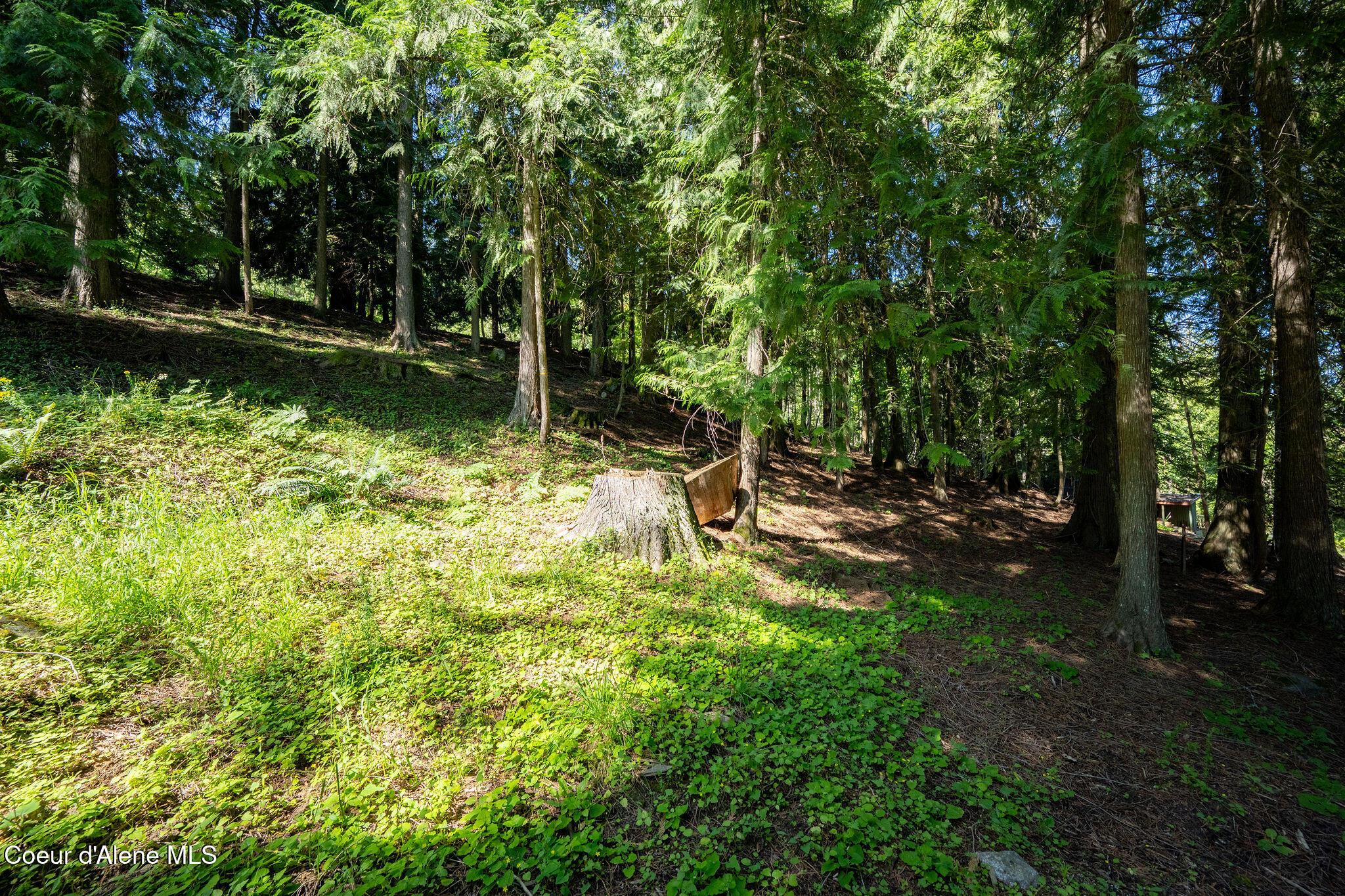 Image 4: Lot