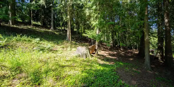 Image 4: Lot