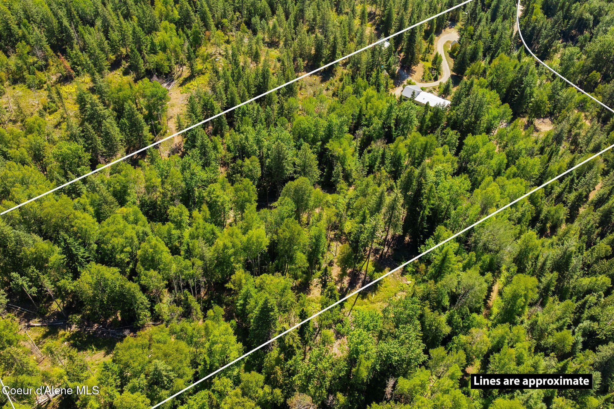 Image 4: 4_DJI_20250822030017_0891_D PLOTLINE