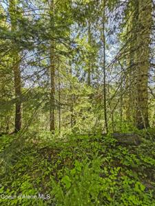 Nna Tanglewood 4.92 acres