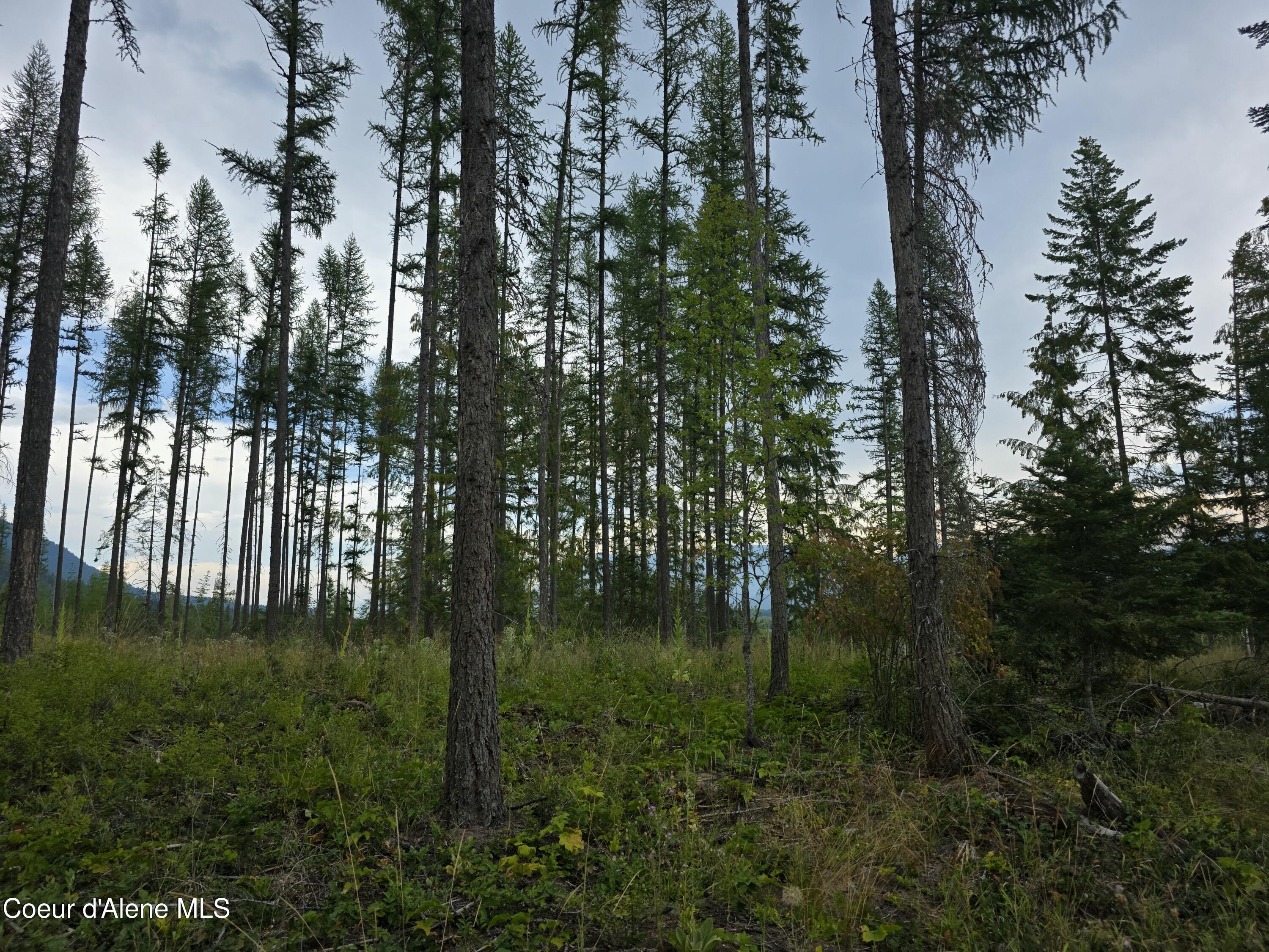 Image 1: 20250804_142024