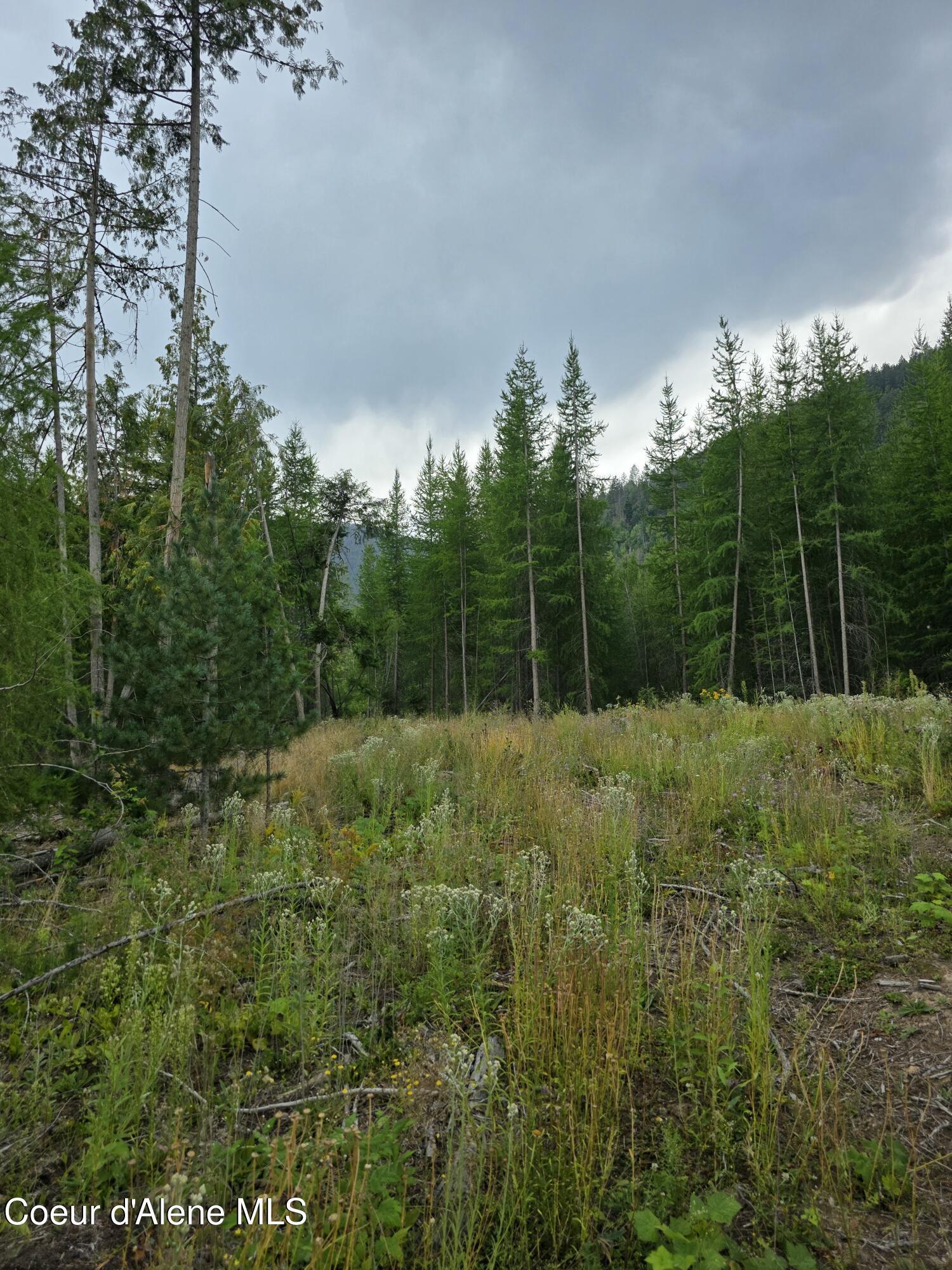 Image 2: 20250804_143032