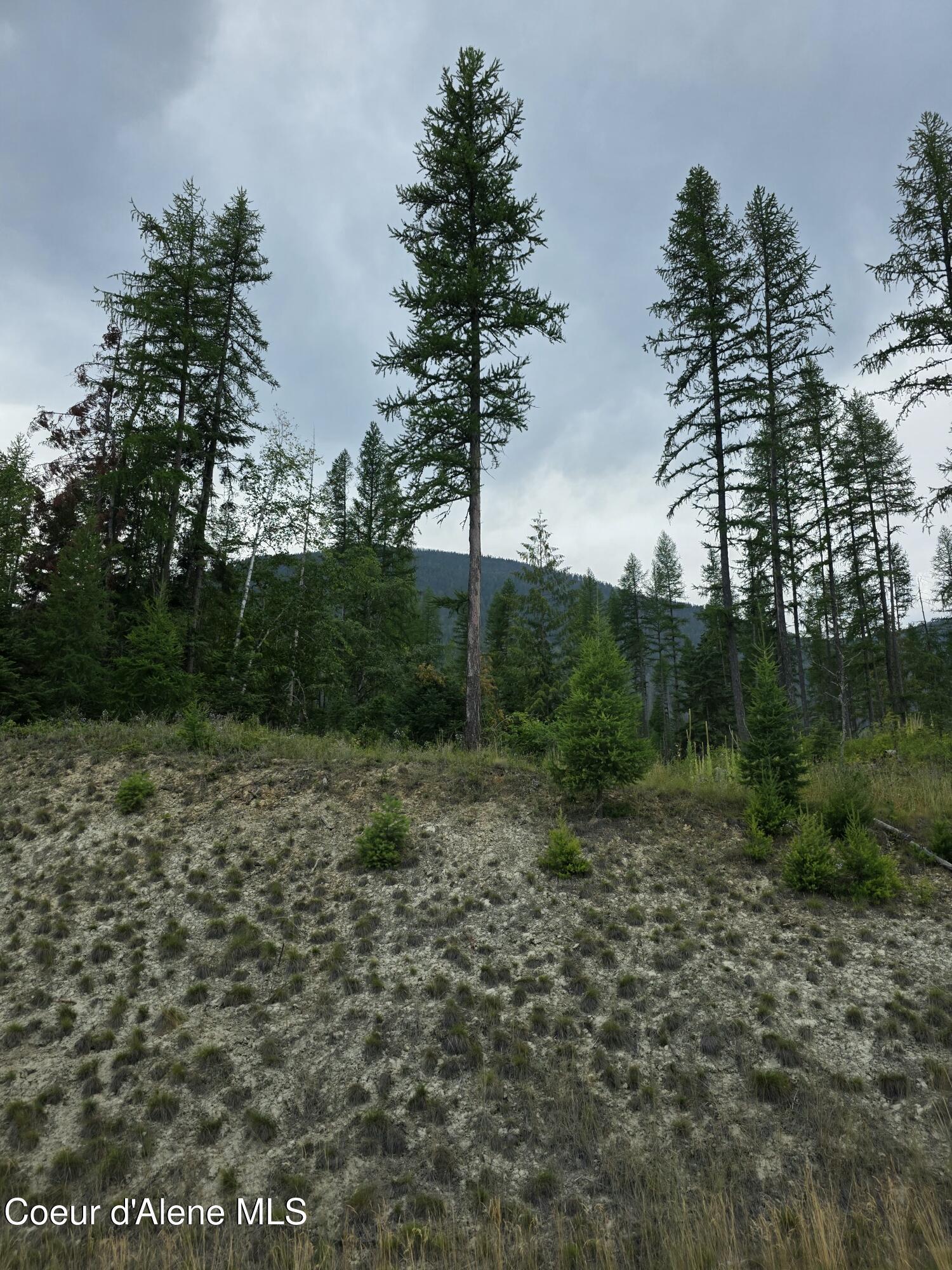 Image 3: 20250804_144629