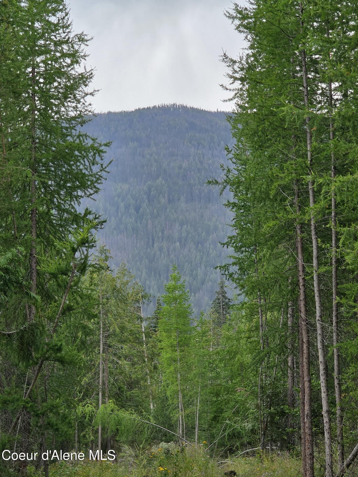 Image 4: 20250804_143105