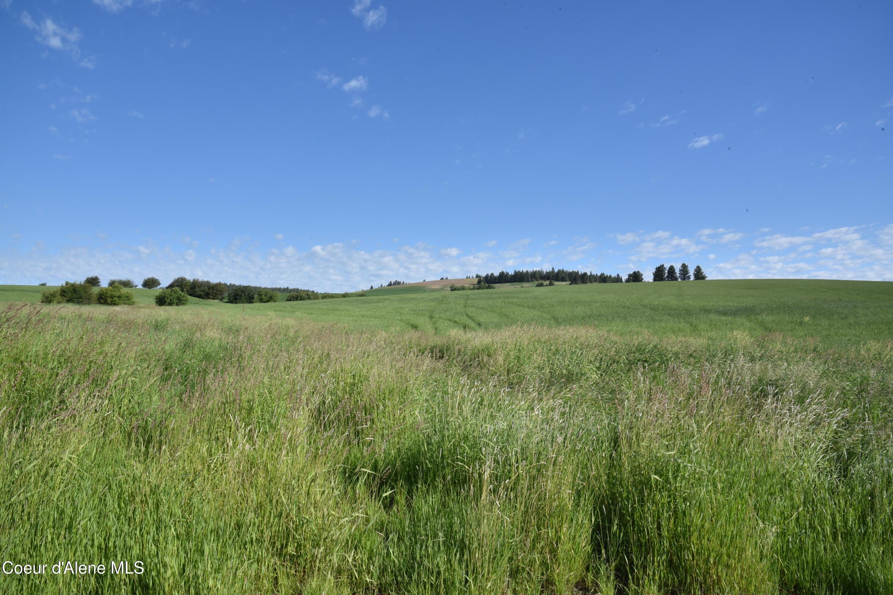 Image 1: 1