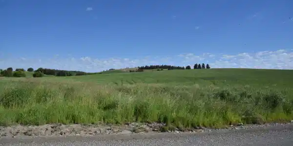 Image 2: 2
