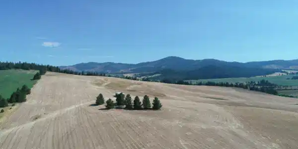 Image 3: 3