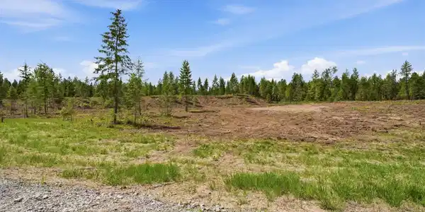 Image 3: Lot 3