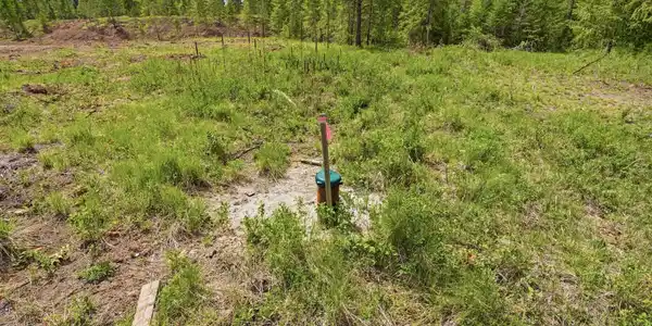 Image 4: Well on Property