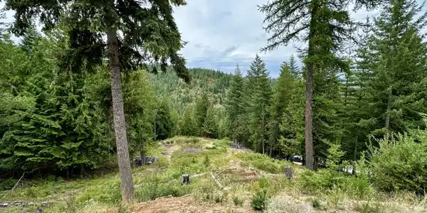625 E Fork French Gulch RD