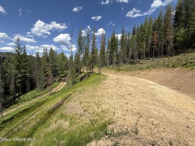 928 Polaris Peak Rd Lot 3